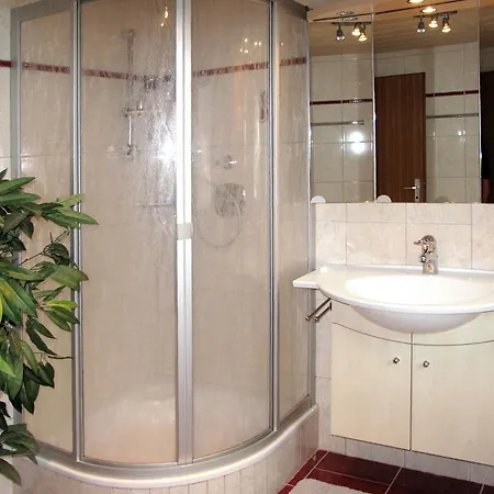 Haus Babsi 485w 公寓 金兹灵